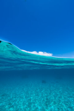 Half water