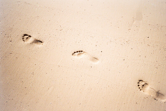 Foot prints in the sand on a beach