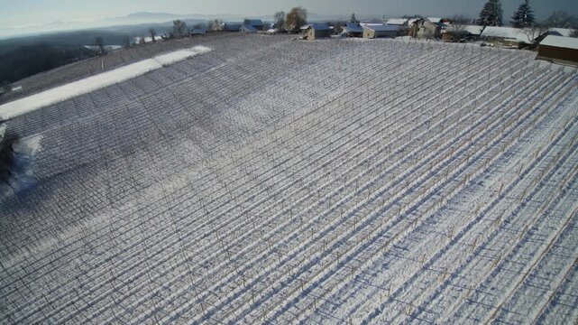 Winter Drone Shot of Snow Covered Kog Village in Slovenian Countryside Landscape
