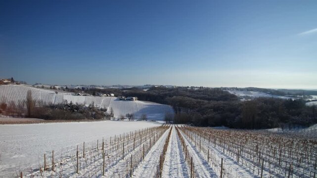 Aerial Drone Footage of rows of vines in Kog Village on Frozen Winter Rural Slovenia