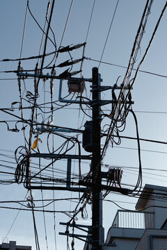Streets of Tokyo prefecture