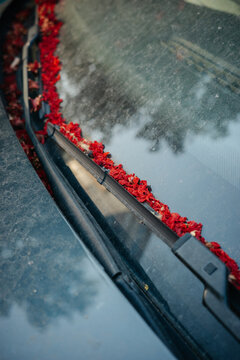 Red petals gathered along windshield wiper on car