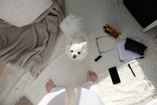 Morning routine with the dog.