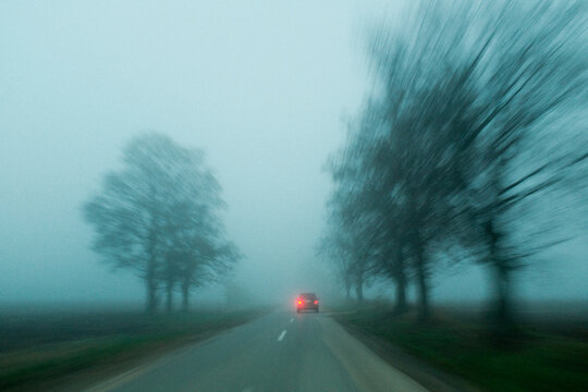 Centered road through trees in winter fog