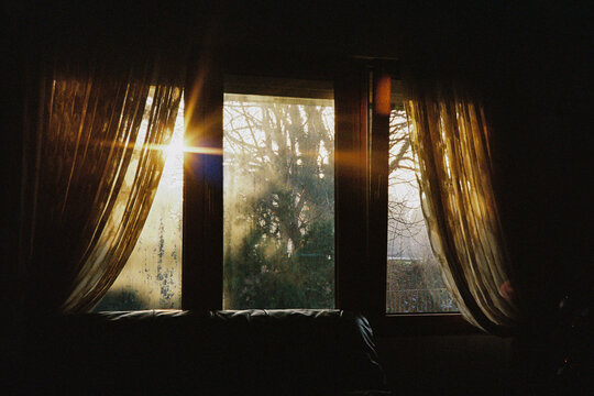 Sunset light through a wooden window with a tree outside
