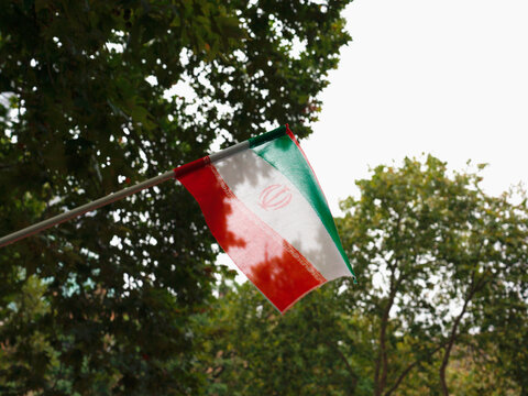 Iranian Flag Seen Waving in a Park Surrounded by Trees