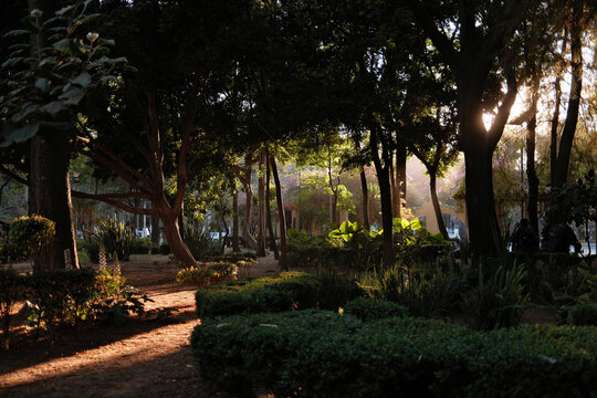 Enjoying nature in a park during a visit to Mexico City