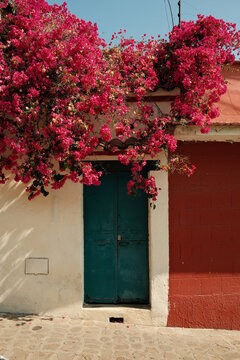 A scene in Oaxaca shows a blue door framed by vibrant flowers