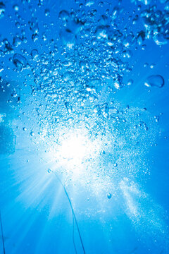 Bubble