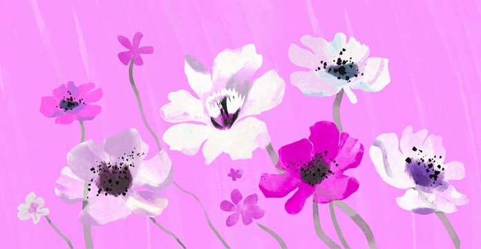 Delicate Anemones   on Pastel Background