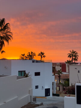 sunrise over white houses and palm trees