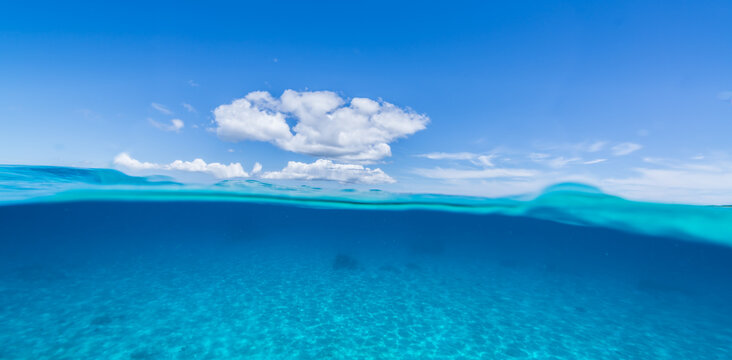 Half water