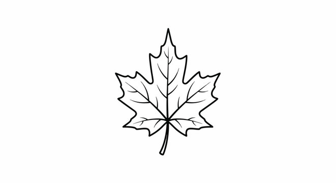 Simple Maple Leaf Outline Illustration.