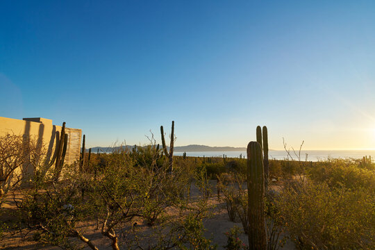 Baja Mexico Desert Landscape