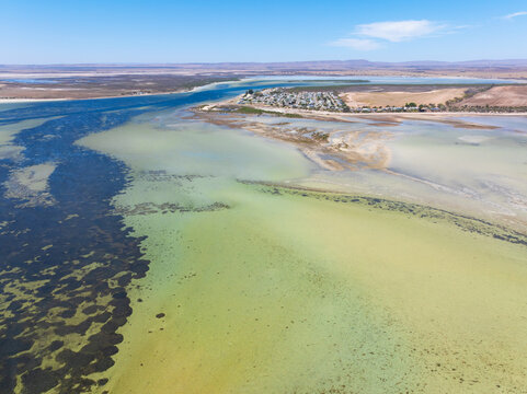 Sand flats and shallow water in a tidal estuary