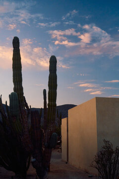 Architecture and desert Mexico