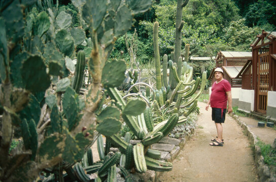 Walking Past Desert Plants