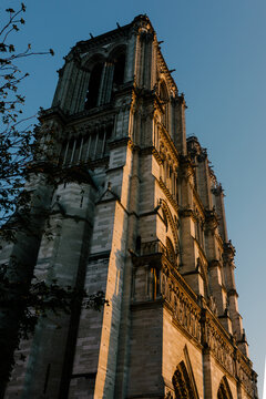 Low angle of Notre Dame Cathedral tower at sunset in Paris