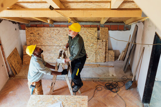 Construction Workers with Ladder