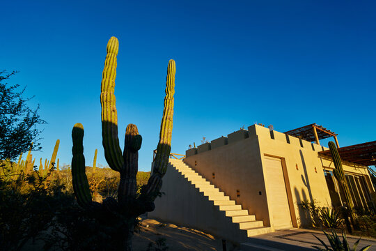 Home in the Mexico desert