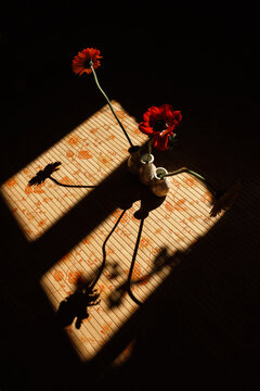 Flowers in a vase casting shadows on a wooden surface