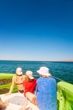 Summer Travel Boat Day In Baja Sur