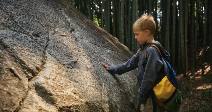 Medium, steady cam shot of little boy with backpack touching large stone in bamboo thicket