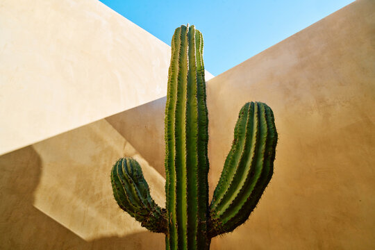 Nature and architecture