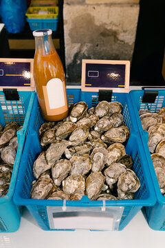 Fresh oysters displayed in blue plastic crates