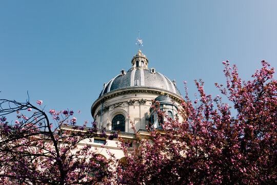 An architectural detail of the dome of the Institut de France
