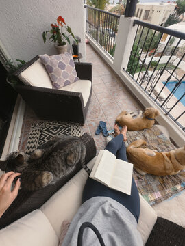 ugc anonymous person with pets on balcony