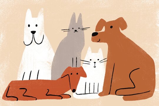 Illustrations of pets