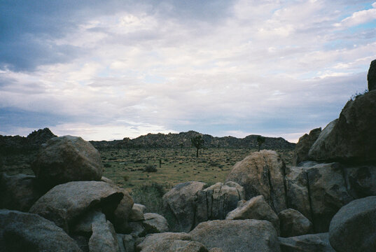 Desert scenery featuring rock formations and minimal plant life.