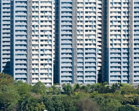 Tall Residential Tower Blocks Above Green Trees