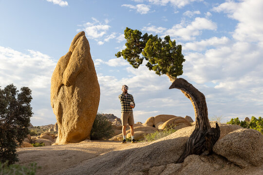  Landscape tree balance Stone photographer in Desert
