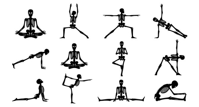 Yoga skeletons in various poses illustration