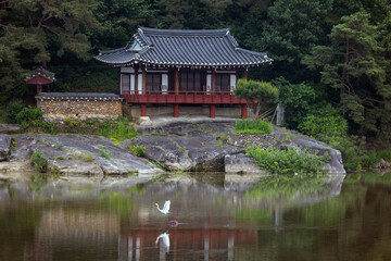 Obraz premium Egrets and Korean Pavilion Scenery