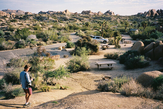 Tourist Walks in Joshua Tree National Park 