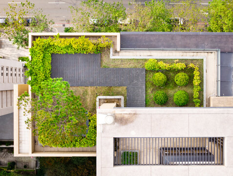 Modern Rooftop Garden with Geometric Design