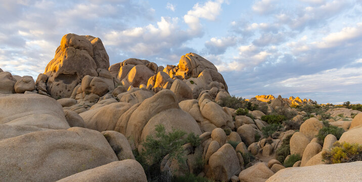 Desert Landscape California  joshua tree sunrise National Park 