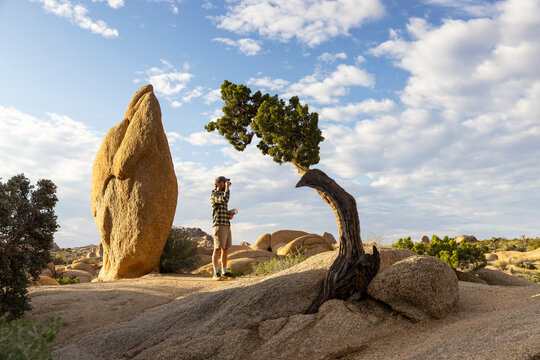 Desert Landscape tree balance Stone photographer