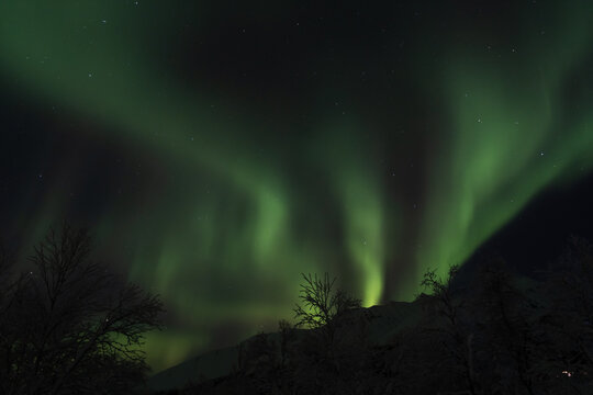 The northern lights dance in the sky in Norway