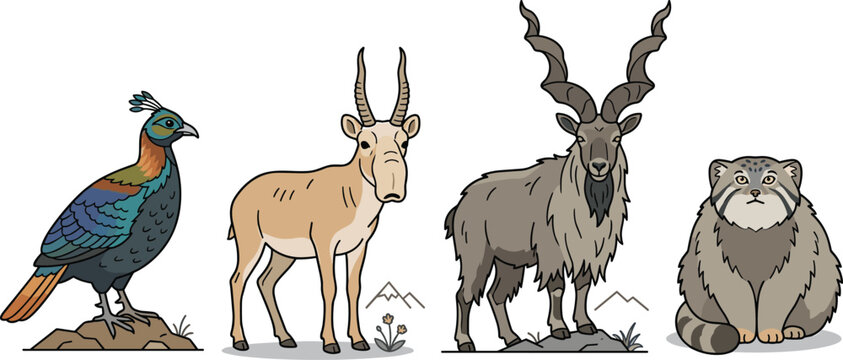 Rare Asian Wildlife Vector Set Featuring Himalayan Monal Pheasant Saiga Antelope Markhor Goat and Pallas Cat Characters for Nature Conservation Graphic Designs