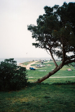 Coastal campsite viewed through leaning pine tree