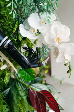 Robotic Hand Delicately Interacts With Lush Greenery and Orchids