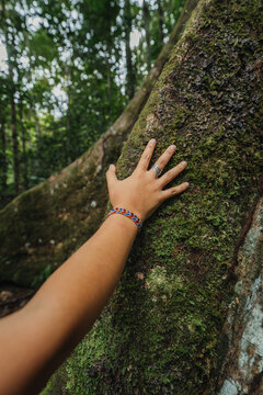 Woman hand ins amazon tree