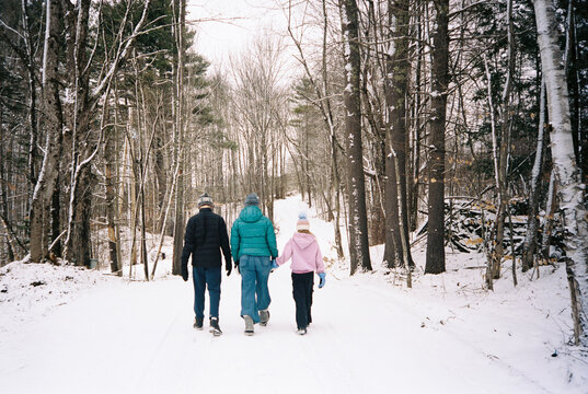 Family together walk forest  Vermont UGC