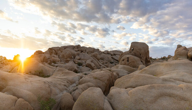  Landscape California  joshua tree sunrise National Park sunrise