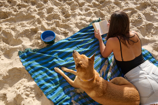 summer reading at beach with dog