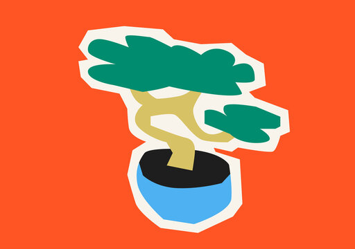 bonsai tree in pot